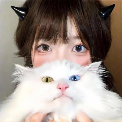 车轴