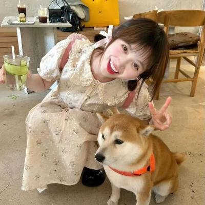 子夜的太阳